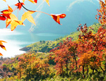 Baizhangji Fall-Feiyun Lake Scenic Area
