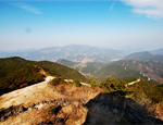 Wuyanling Ridge Forest Nature Reserve